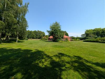 Picture 31